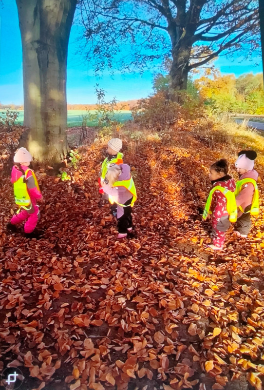 IMG_20251204_115039__01